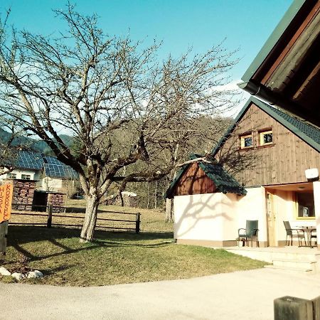 Apartma Hiska Korosec Bohinj Exteriér fotografie